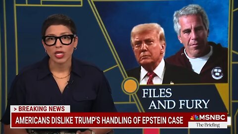 TRUMP'S TANTRUM BACKFIRES: Lawsuit is 'the stupidest thing he could have done' says legal expert