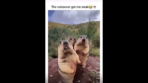 Best voiceover of all time