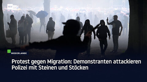 Protest gegen Migration: Demonstranten attackieren Polizei mit Steinen und Stöcken