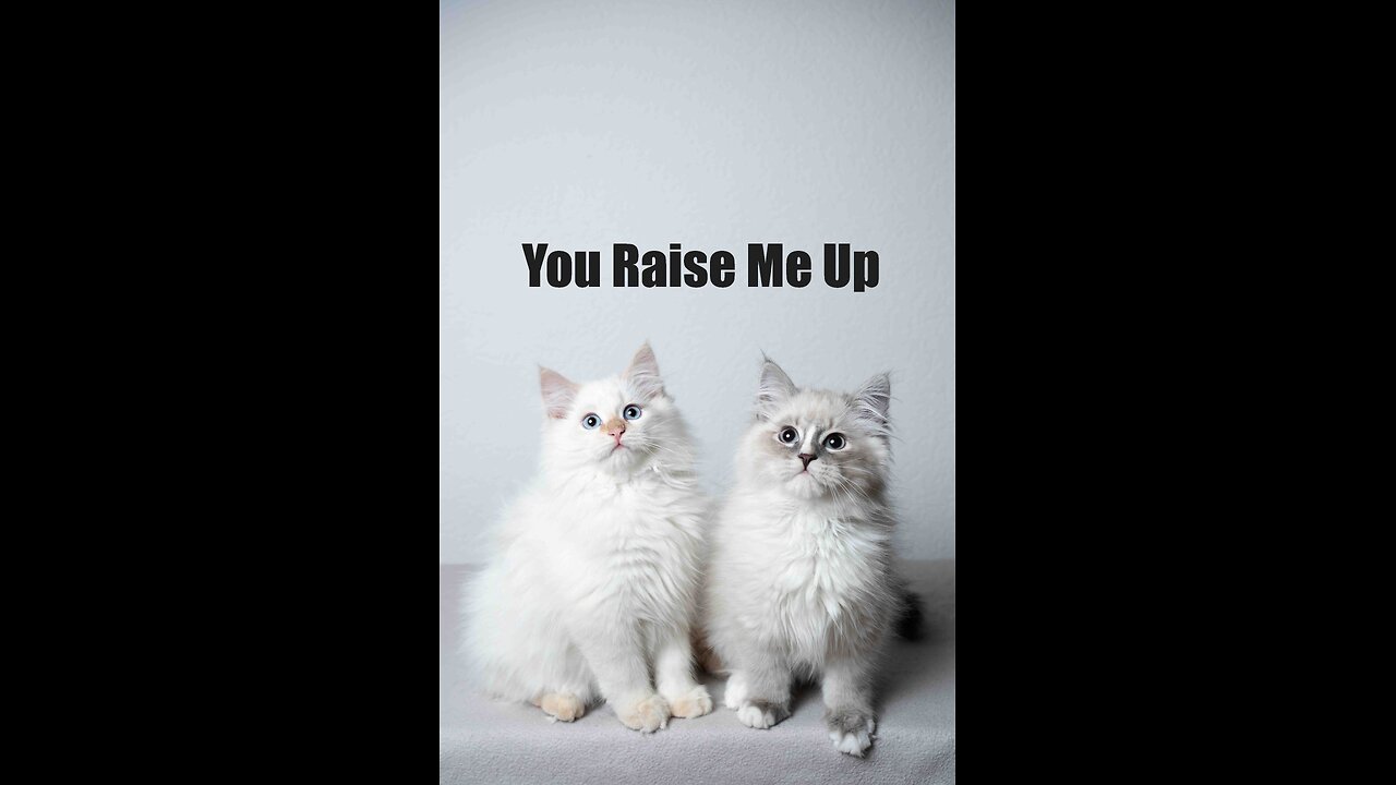 You Raise Me Up