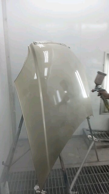 Honda civic bonut paint