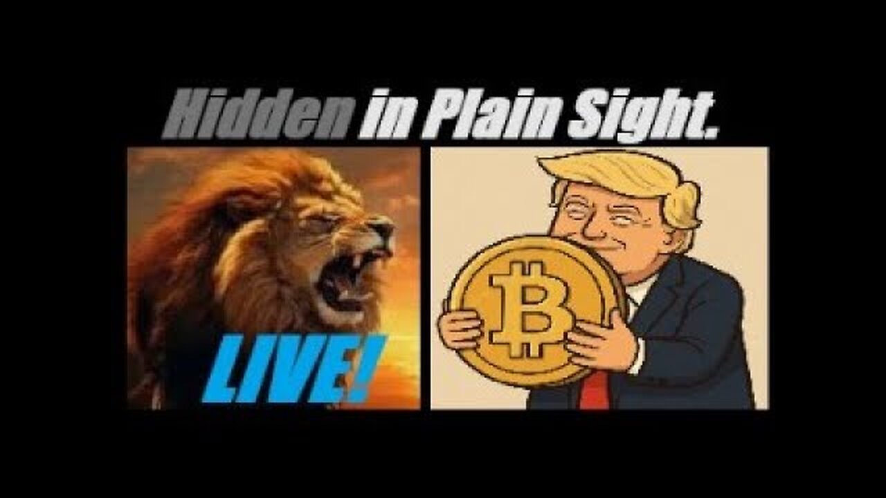 The $42 Dollar LIE. The Bitcoin/Gold Deception. (IMPORTANT UPDATES) Mannarino