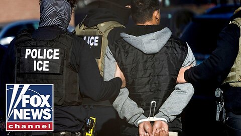ICE agents facing consequences of Dems_ _demonization__ DHS official