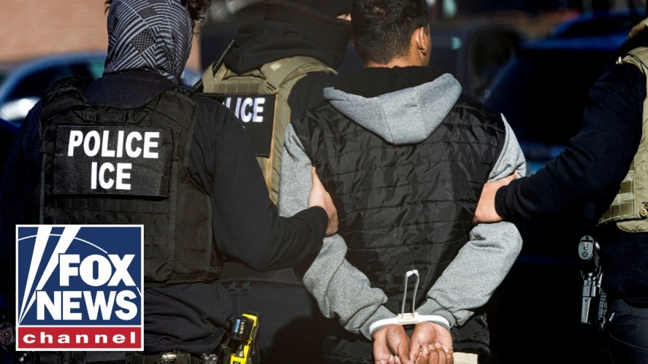 ICE agents facing consequences of Dems_ _demonization__ DHS official