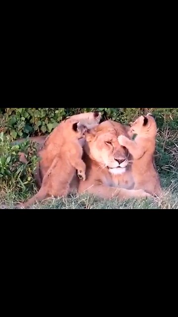 DRAW NEAR TO GOD - DAILY DEVOTIONAL ❤️