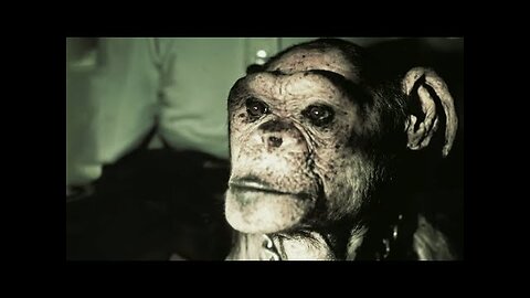 Man or Ape The Genetic Mystery of Oliver | Our World