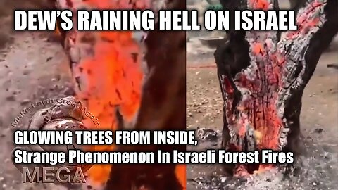 DEW'S RAINING HELL ON ISRAEL | GLOWING TREES FROM INSIDE, Strange Phenomenon In Israeli Forest Fires