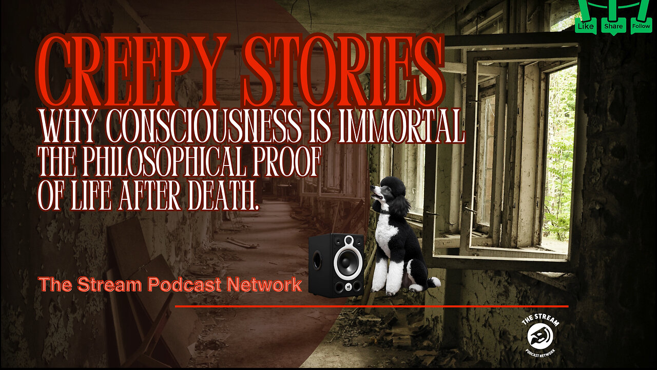 Why Consciousness is Immortal The Philosophical Proof of Life After Death..