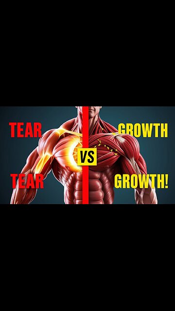 Muscle Tear vs Hypertrophy 💪😳 (What REALLY Happens in Your Muscles!)