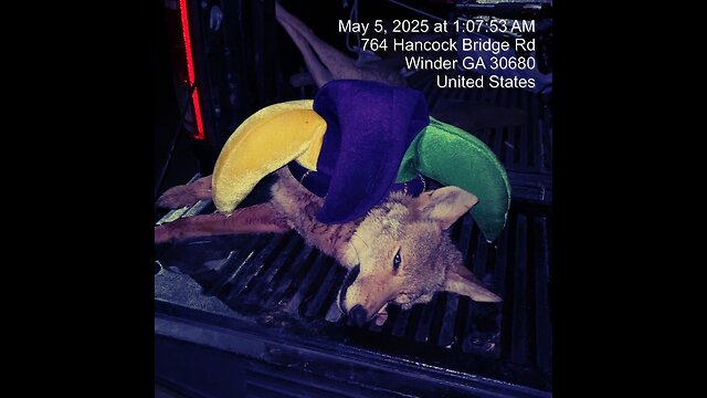 Pound Town Smack Down