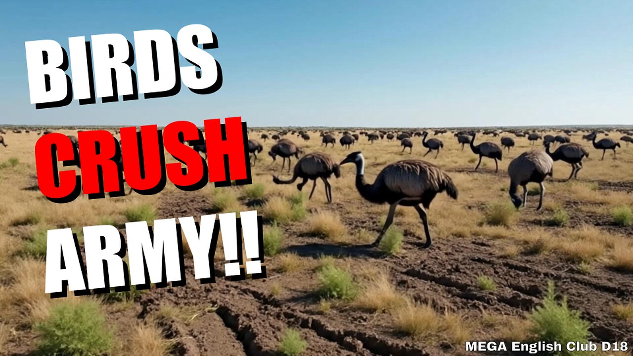 The Great Emu War