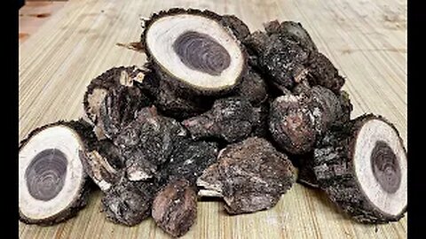 Can You Even Turn Pine Burls?