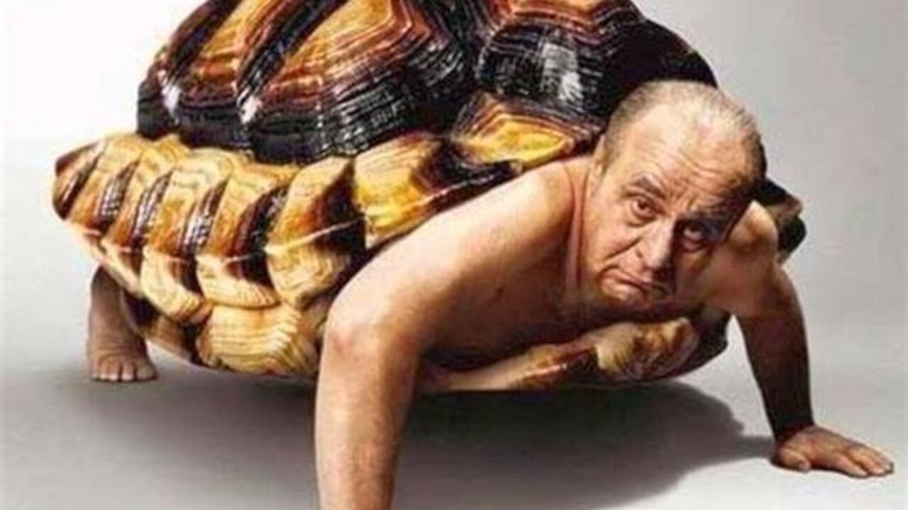 Trump boasts about having ＂nice high IQ＂