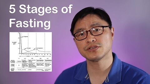 斷食的5個階段