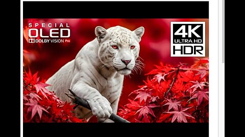 4K Videos | Insane Dolby Vision 4K HDR 60fps