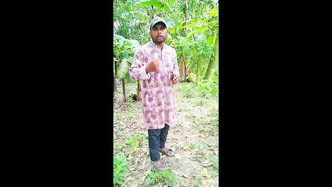 🕯️ মায়া ভাঙার পরও কেউ দেখে না কান্না…