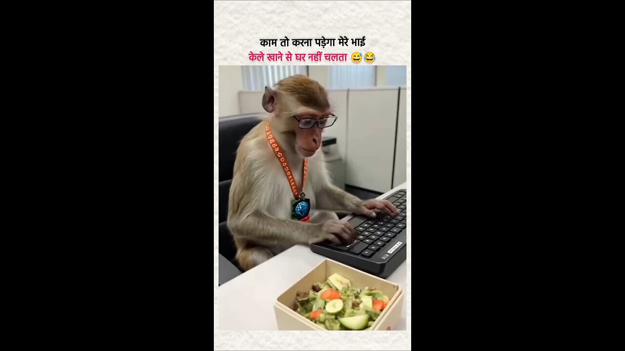 funny video