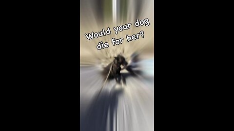 Most Dogs Would Fail This Test