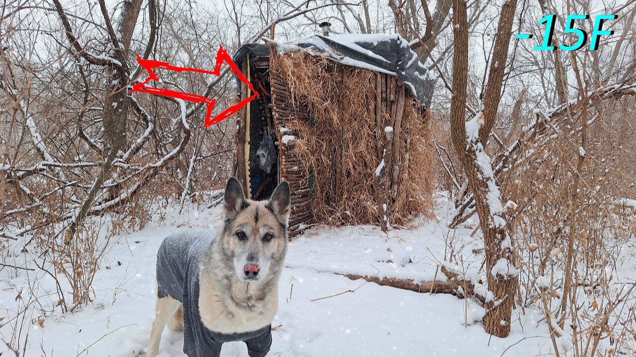 WINTER STORM CAMP with MY DOG at THE SHACK