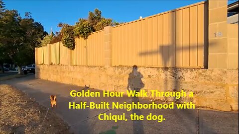Golden Hour Walk Through a Half-Built Neighborhood with Chiqui, the dog.