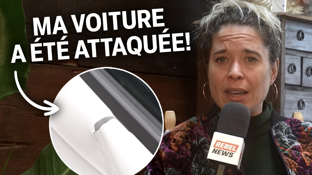 Un voyou de Montréal s’en prend à la voiture dAlexa pendant un reportage!