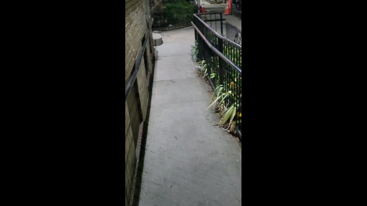 The NY Predators Dept officers engaging in coercive threats and illegal surveillance.