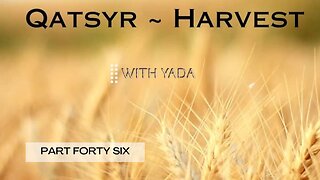 Qatsyr ~ Harvest Part Forty~Six 02 June 2025