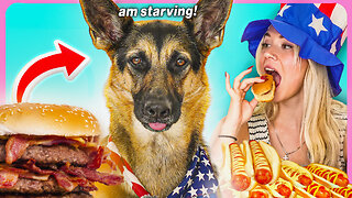 German Shepherd Food Review