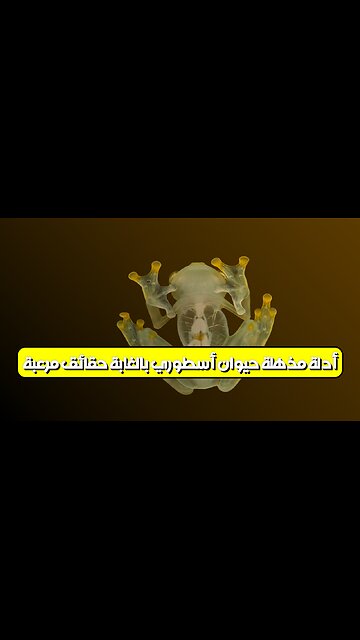 أدلة مذهلة: حيوان أسطوري بالغابة؟ حقائق مُرعبة! #حيوانات #أساطير #غموض