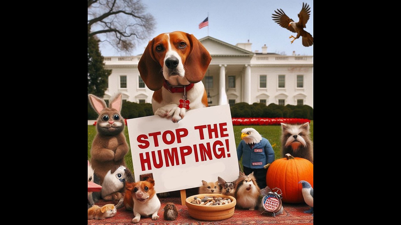 Stop the Humping! Quick Fixes That Actually Work #pets #dogcoach #myanimal