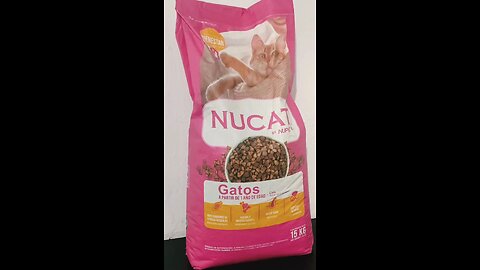 LES COMPRÉ CROQUETAS NUEVAS A MIS GATOS... SALIO MAL! 😕🫣