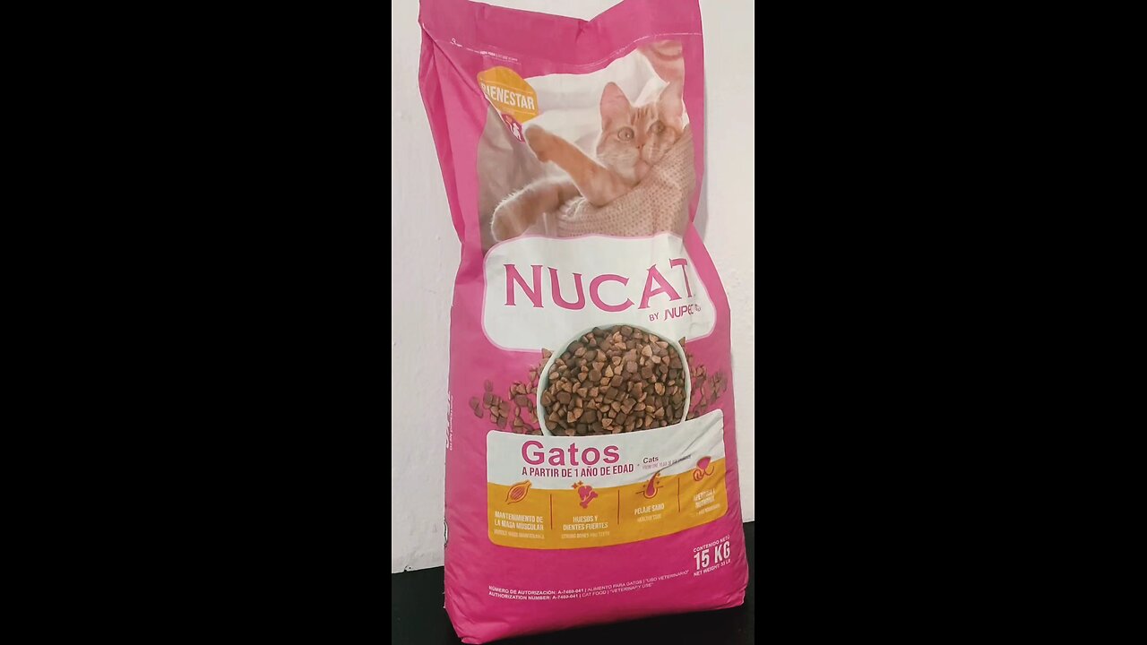 LES COMPRÉ CROQUETAS NUEVAS A MIS GATOS... SALIO MAL! 😕🫣