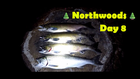 Northwoods - Day 8: Grouse Frustrations & Off Camera Coho Catching
