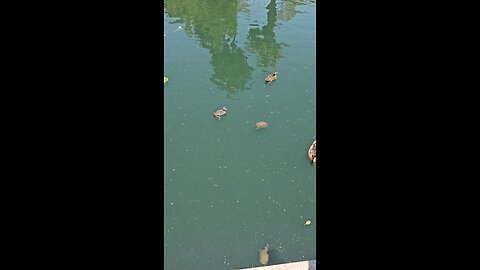 Here's one way to enjoy the day 😁😁