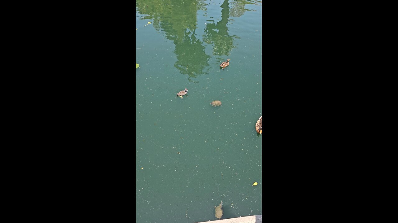 Here's one way to enjoy the day 😁😁