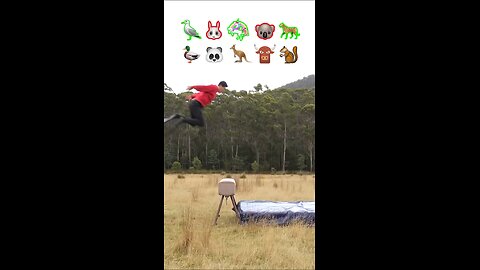 lf animals djd Parkoun 😂