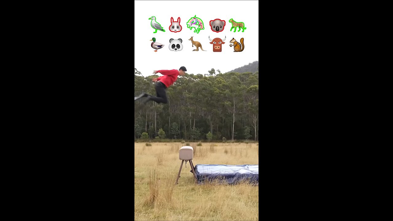 lf animals djd Parkoun 😂