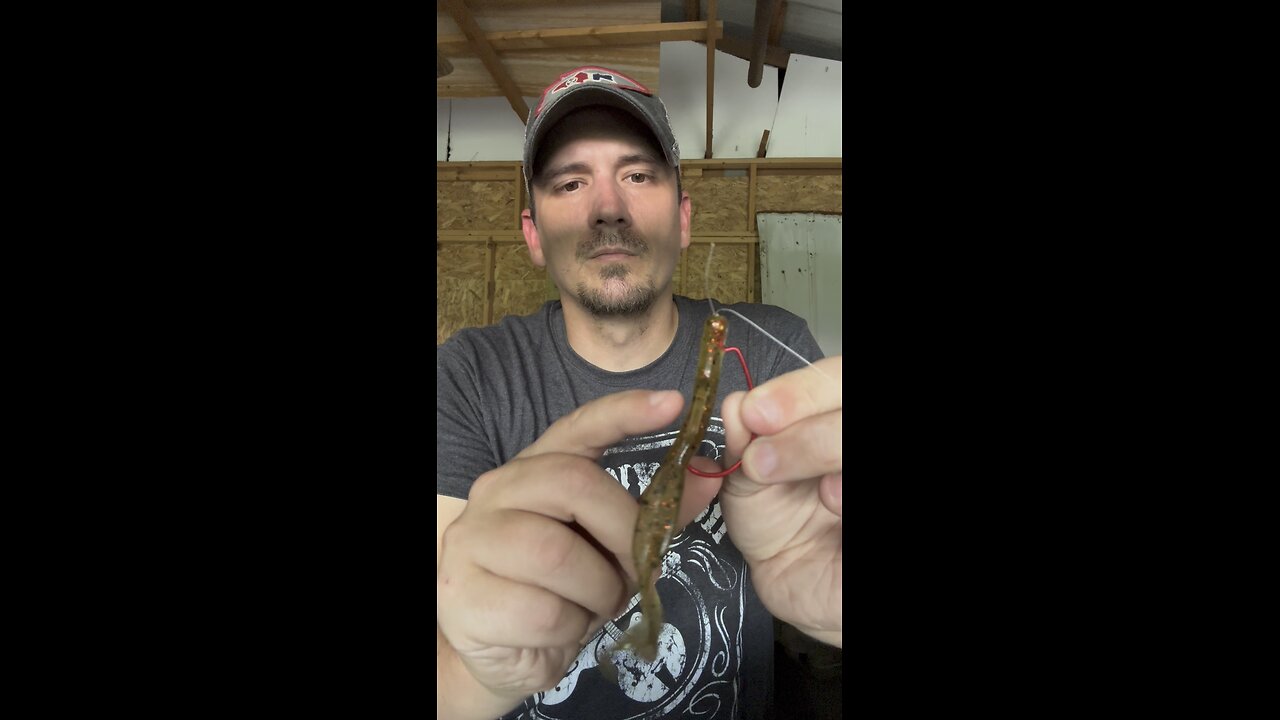 Beginner series how to fish part 4