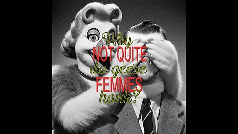 Not Quite Femmes - Parody Music