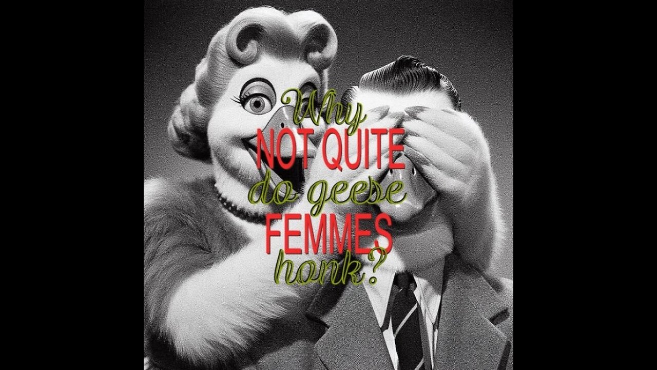 Not Quite Femmes - Parody Music