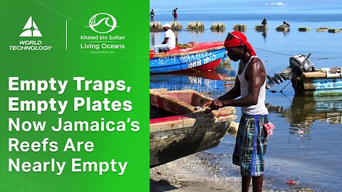 When the Fish Disappear – A Look at Jamaica’s Fishing Crisis | Living Oceans Foundation