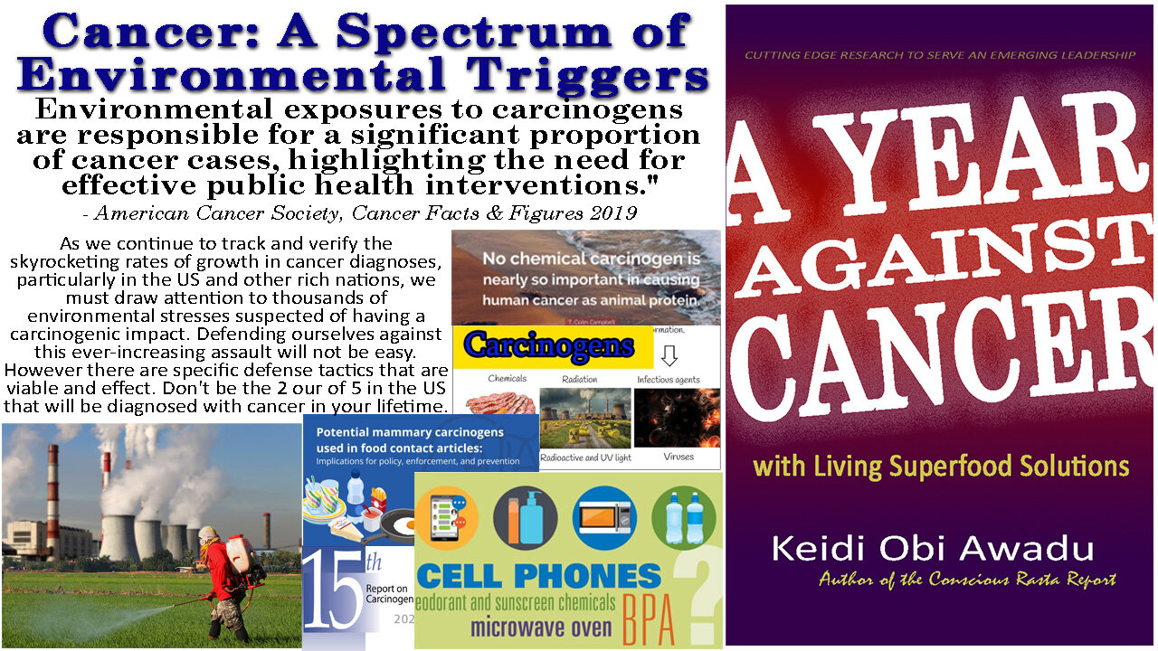 Cancer: A Spectrum of Environmental Triggers