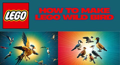 How To Make Lego Wild Bird