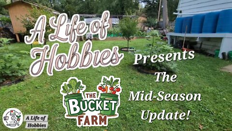The Bucket Farm - Mid-Season Update. Urban Container Gardening.
