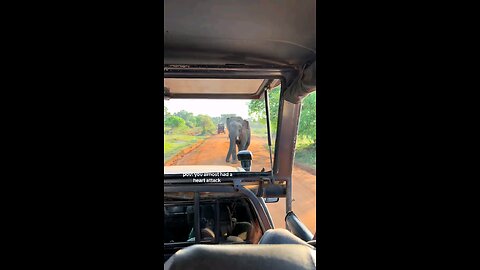 Welcome to Sri Lanka 🇱🇰