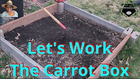 Let's Work This Carrot Box - #catshobbycorner #gardening