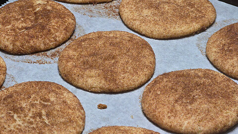 The BEST Snickerdoodle Cookies (NO CHILL)