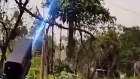 "Revolutionary Tree Trimming: Chinese Workers Utilize Laser Technology in Arboriculture"