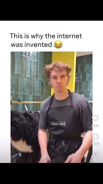 Why the Internet Was Made