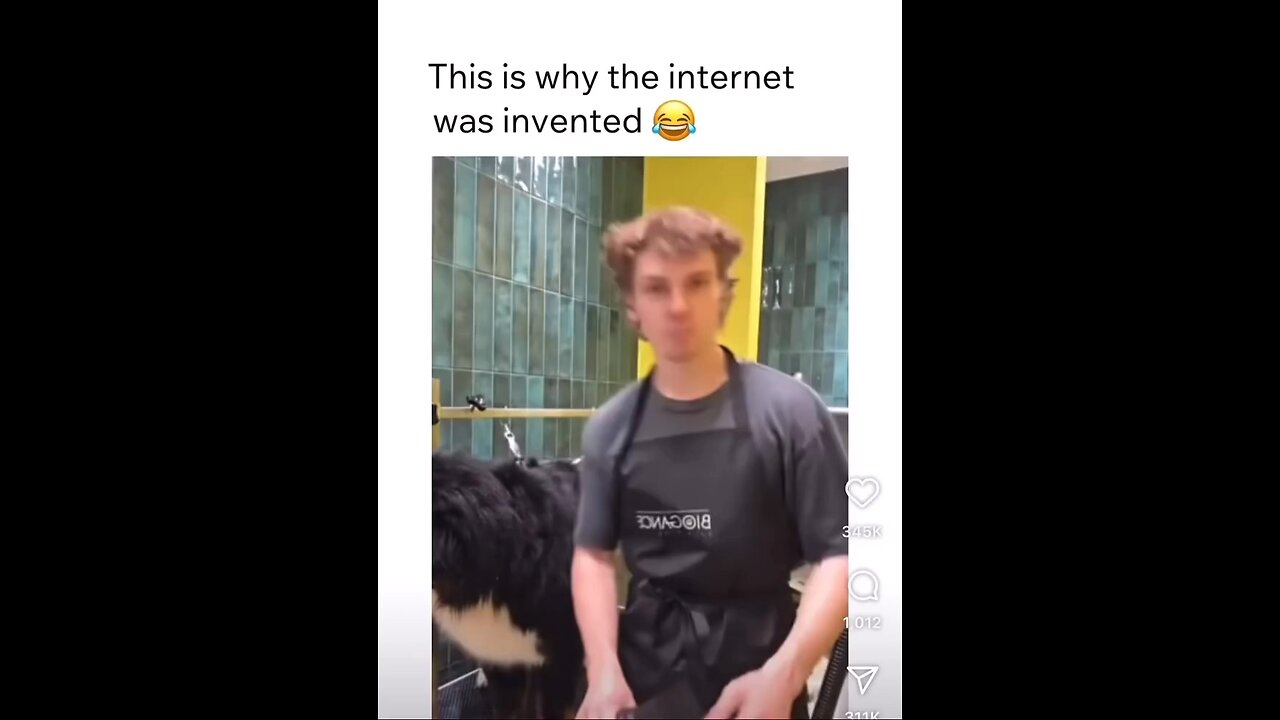 Why the Internet Was Made
